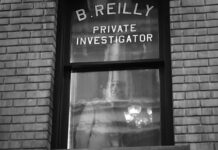 spider noir ben reilly antidote