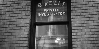 spider noir ben reilly antidote
