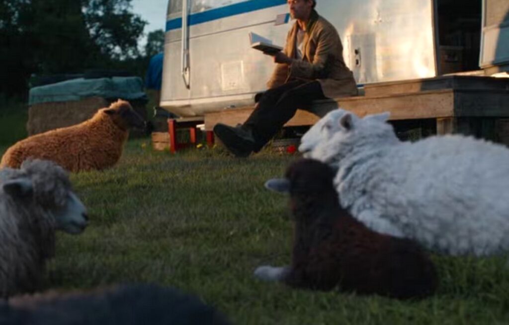the sheep detectives fin