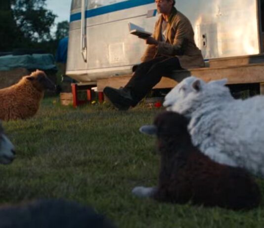 The Sheep Detectives : Explication de la fin ! the sheep detectives fin