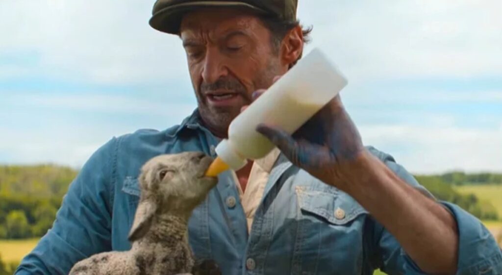 the sheep detectives sortie france streaming