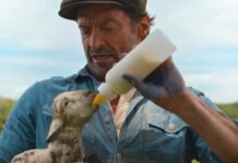 the sheep detectives sortie france streaming