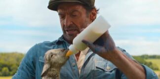 the sheep detectives sortie france streaming