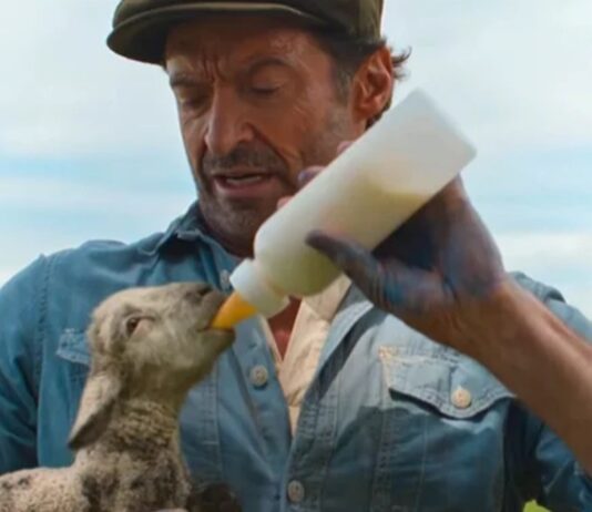 the sheep detectives sortie france streaming
