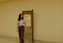 backrooms fin
