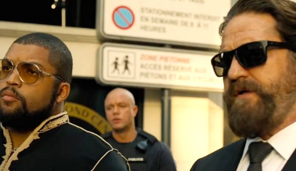 criminal squad panthera fin
