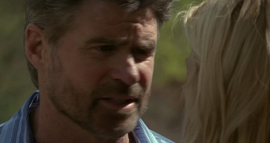 everwood saison 3 fin