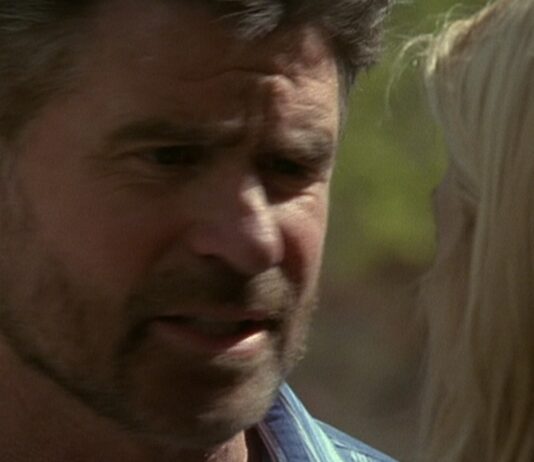 everwood saison 3 fin
