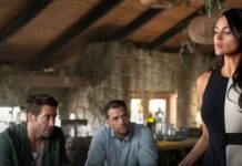 in the grey streaming france netflix