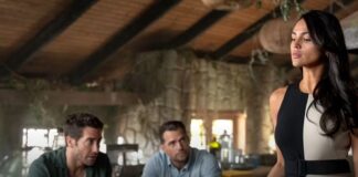 in the grey streaming france netflix
