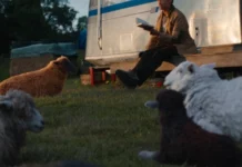 les moutons detectives qui est le tueur