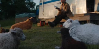 les moutons detectives qui est le tueur