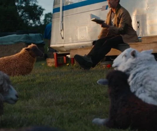 les moutons detectives qui est le tueur
