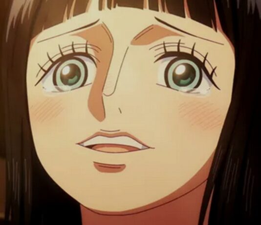 one piece episode 1165