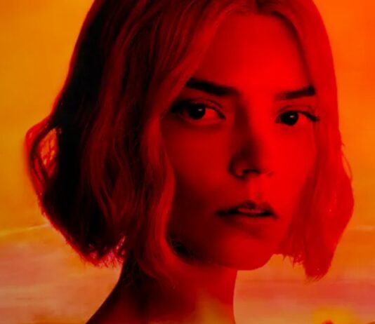 Lucky Saison 1 : Est ce inspiré d’une histoire vraie ? lucky saison 1 histoire vraie