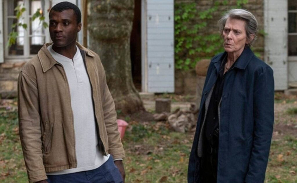 a linstinct saison 1 fin