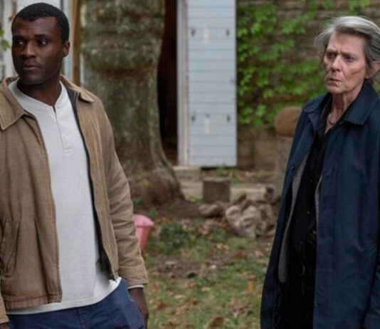 a linstinct saison 1 fin