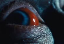 insidious 6 linvasion du lointain fin