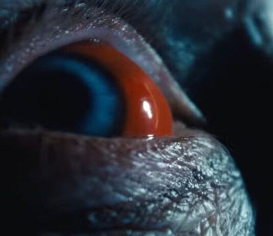 insidious 6 linvasion du lointain fin