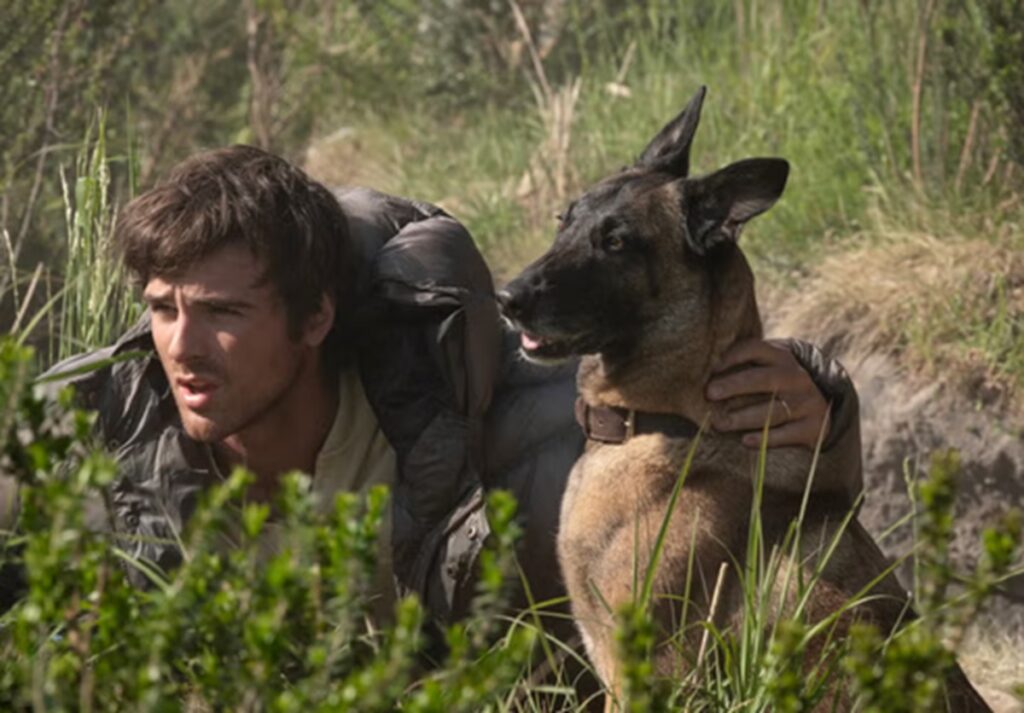the dog stars mort chien