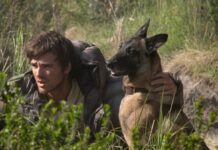 the dog stars mort chien