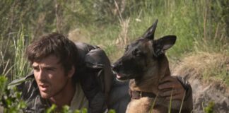 the dog stars mort chien
