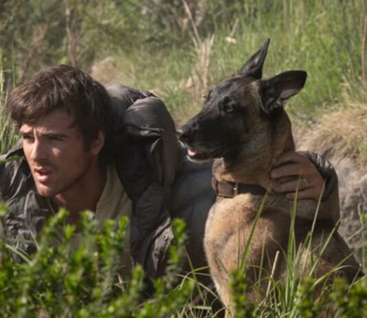 the dog stars mort chien