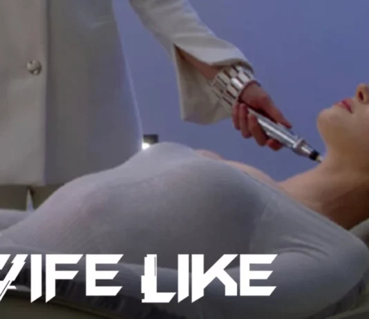 wifelike suite