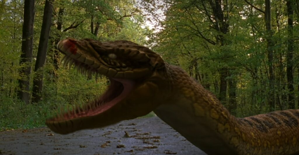 anacondas 4 fin