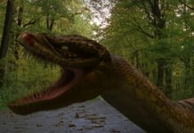 Anacondas 4 : Explication de la fin ! Qui est mort ? anacondas 4 fin