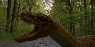 anacondas 4 fin