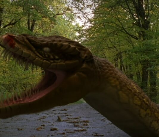 anacondas 4 fin
