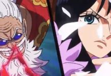 one piece episode 1178