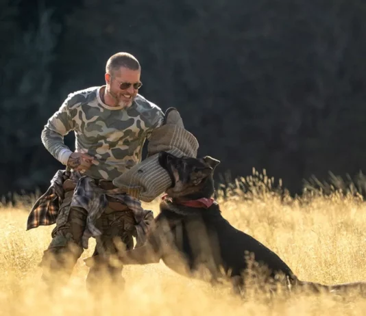 ou a ete filme heart of the beast