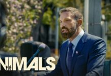 animals suite