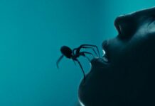 crawlers streaming france