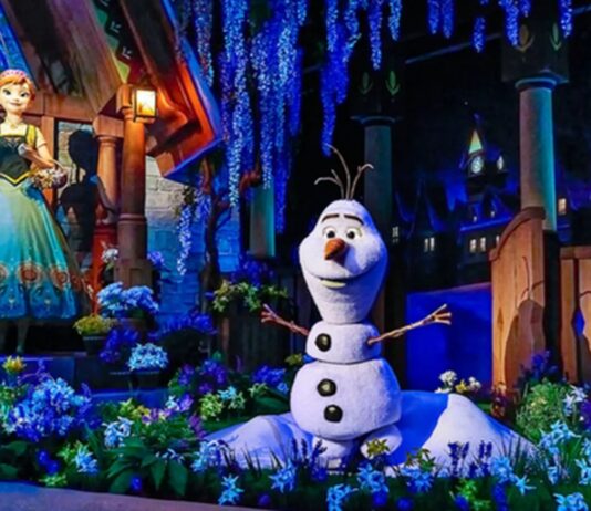 frozen ever after astuce