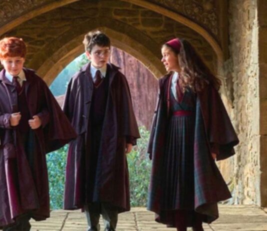 harry potter serie sortie streaming france