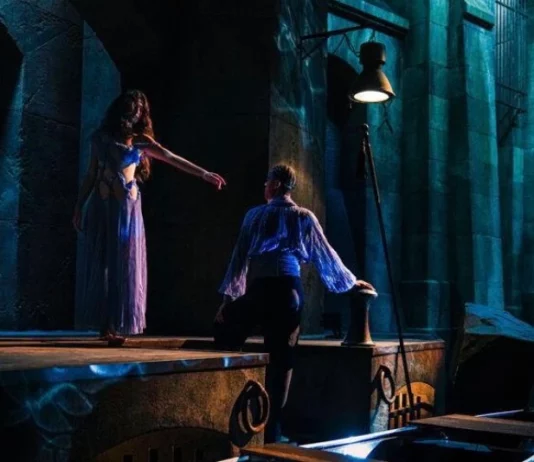 le fantome de lopera netflix