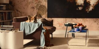 le piege chien mort
