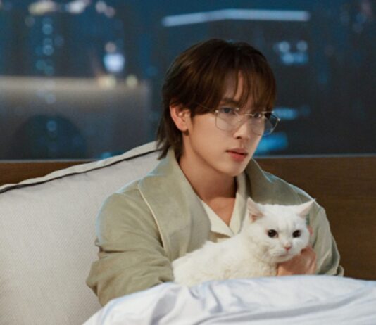 love is disguise combien depisodes