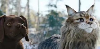 ou a ete filme chien et chat
