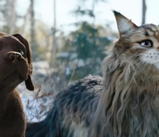 ou a ete filme chien et chat