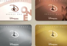 pass annuels disneyland paris
