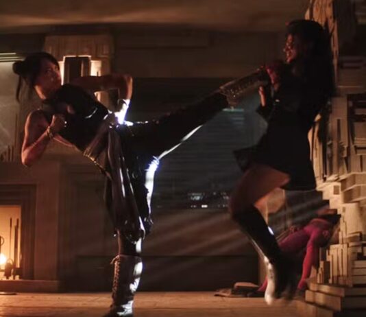 street fighter fin